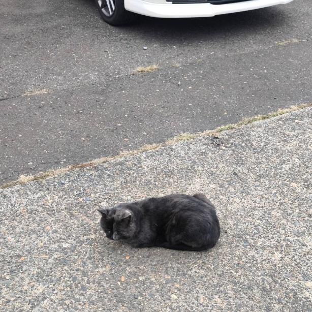 クロ